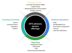 CFO Advisory Services