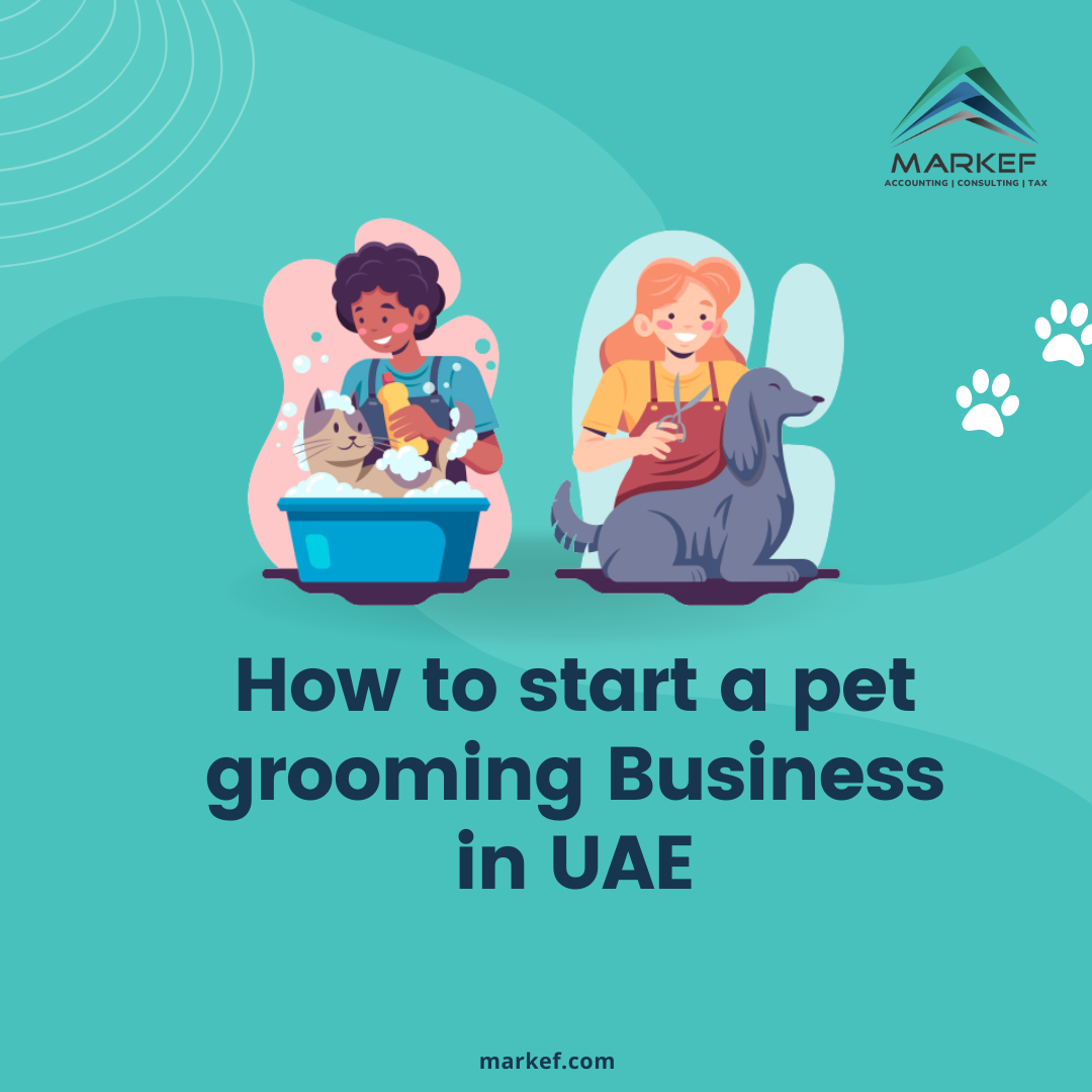 Pet Grooming Business in Dubai