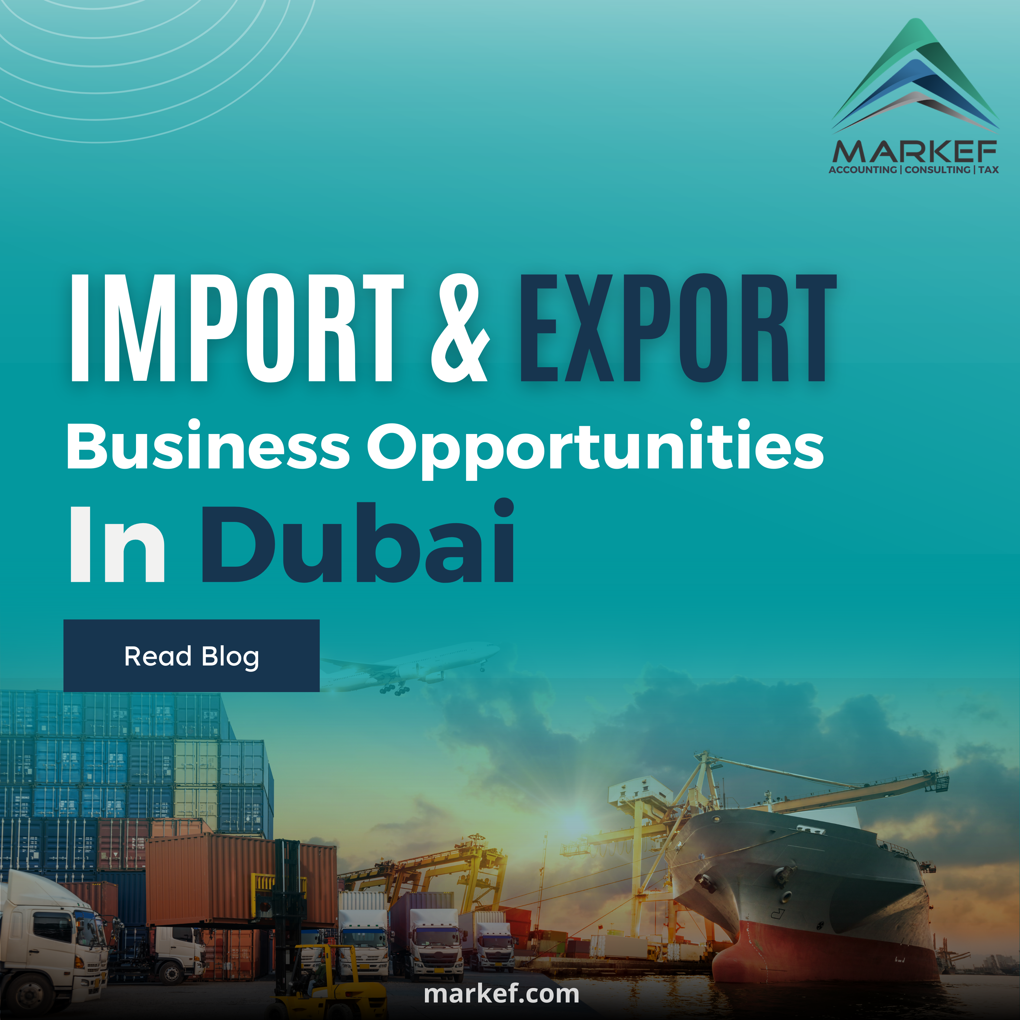Import and Export Business in Dubai