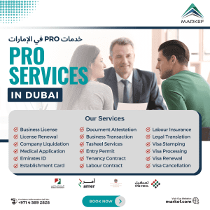 pro services Dubai